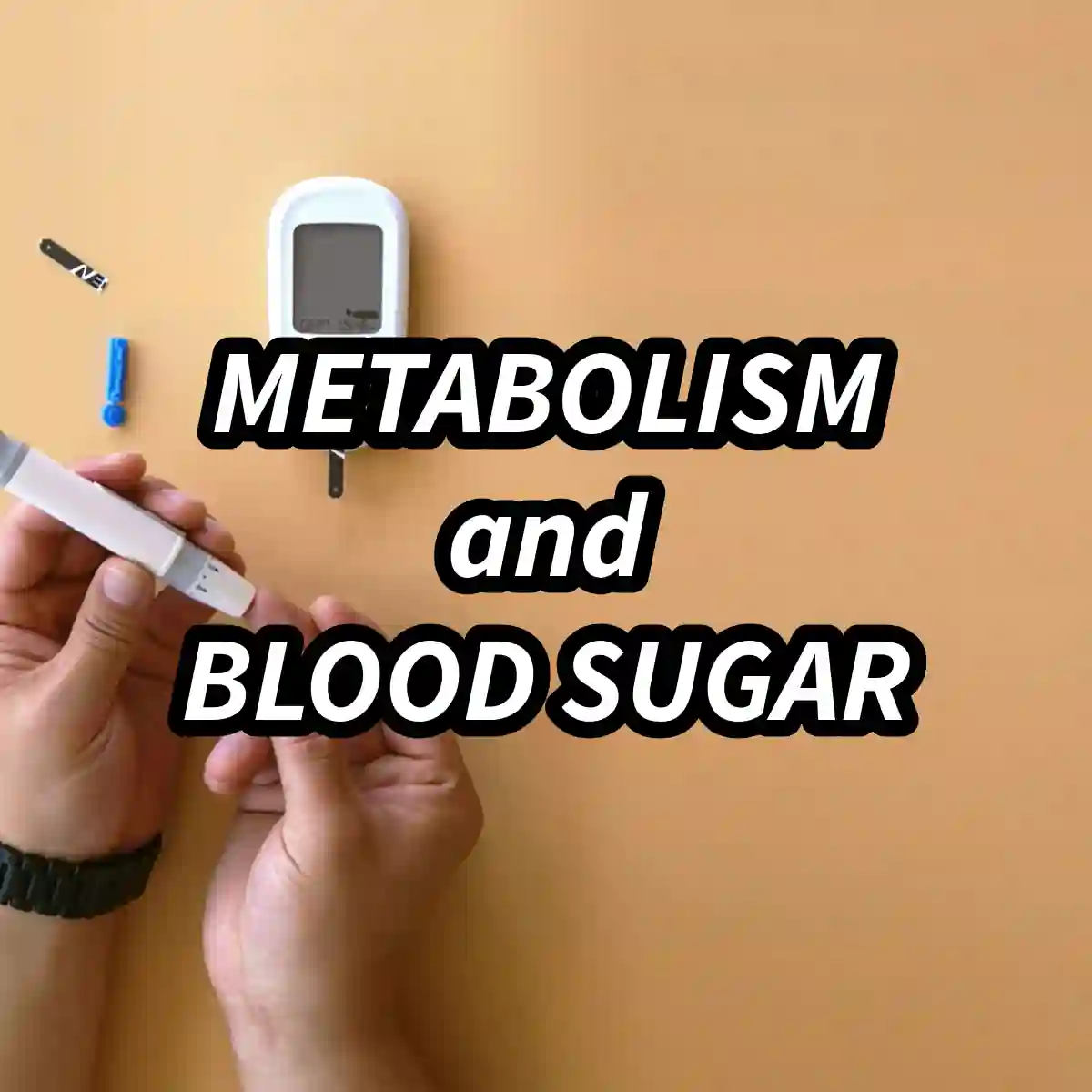 Illustration representing Metabolism and Blood Sugar