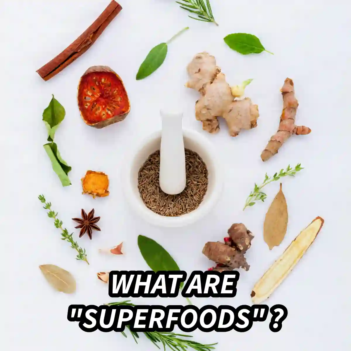 Selection of adaptogen herbs for health and stress support.