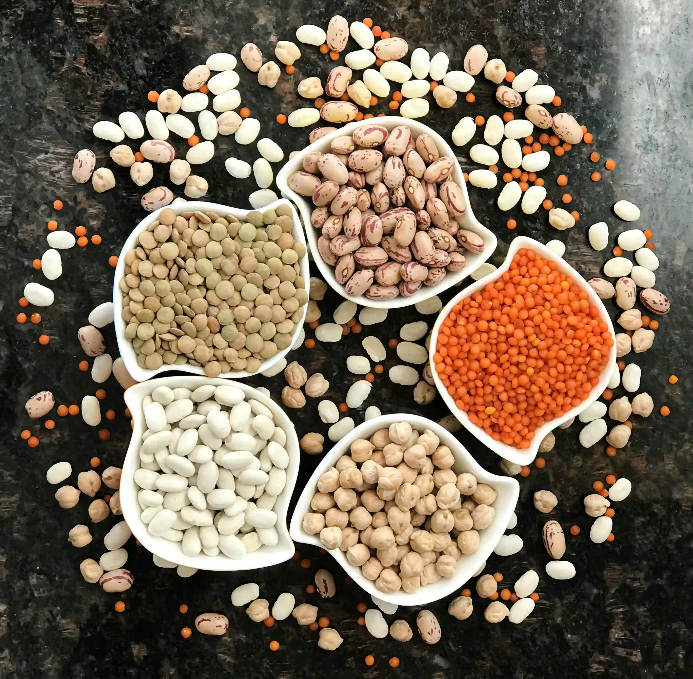 A picture showing legumes as plant-based protein.